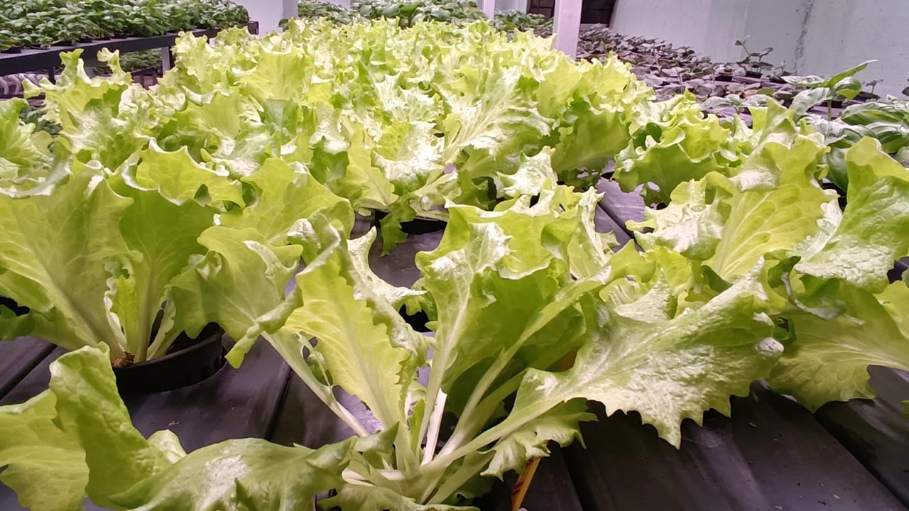 Foto - Türkiye’nin tarımda yeni hamlesi! -1. katta bunu da yaptılar