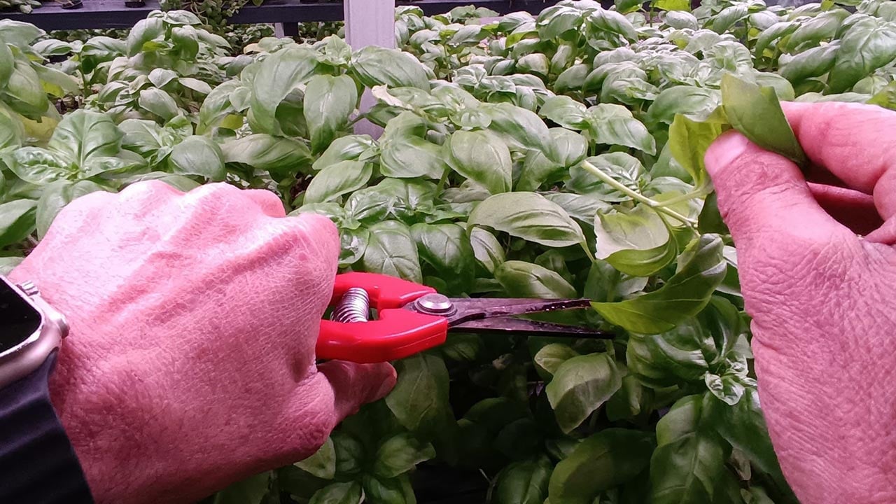 Foto - Türkiye’nin tarımda yeni hamlesi! -1. katta bunu da yaptılar