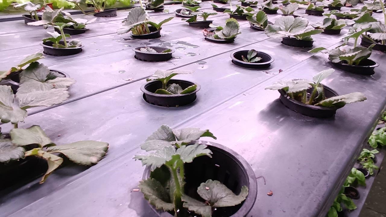 Foto - Türkiye’nin tarımda yeni hamlesi! -1. katta bunu da yaptılar