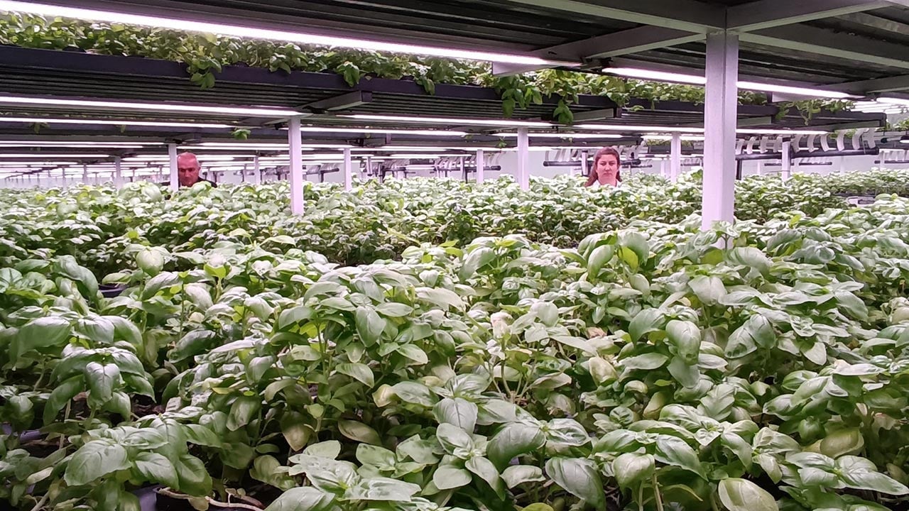 Foto - Türkiye’nin tarımda yeni hamlesi! -1. katta bunu da yaptılar