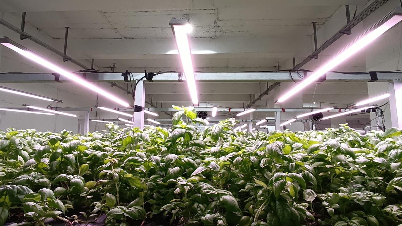 Foto - Türkiye’nin tarımda yeni hamlesi! -1. katta bunu da yaptılar