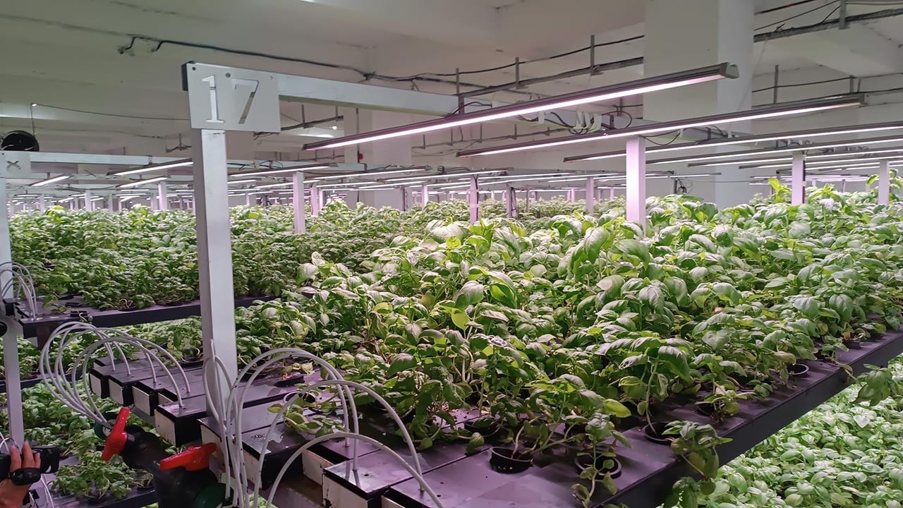 Foto - Türkiye’nin tarımda yeni hamlesi! -1. katta bunu da yaptılar