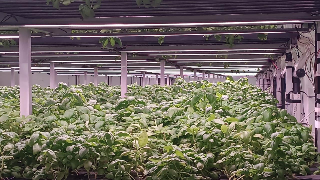 Foto - Türkiye’nin tarımda yeni hamlesi! -1. katta bunu da yaptılar