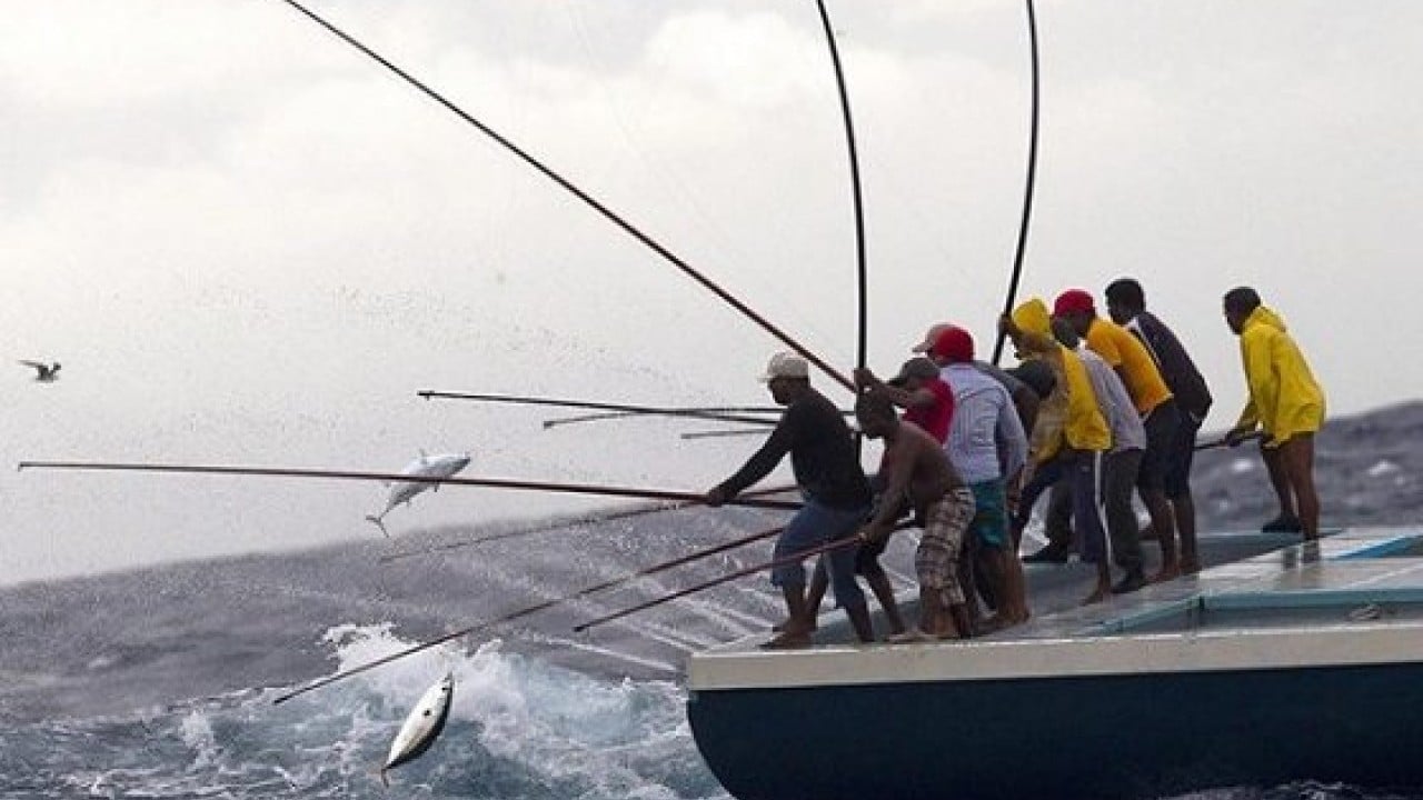 Foto - Türkiye'nin ünlü balıkçısının konkordato talebi reddedildi! İflas ettiler