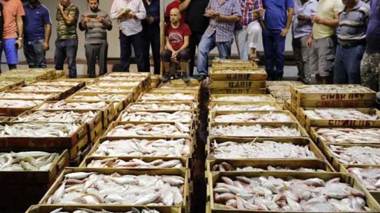 Türkiye'nin ünlü balıkçısının konkordato talebi reddedildi! İflas ettiler