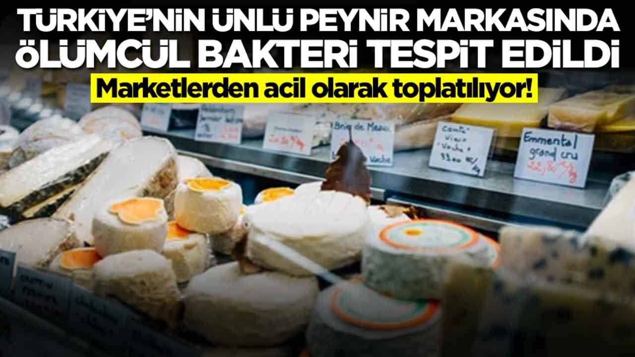 Türkiye'nin ünlü peynir markasında ölümcül bakteri bulundu: Acil olarak piyasadan toplatılıyor, sakın tüketmeyin