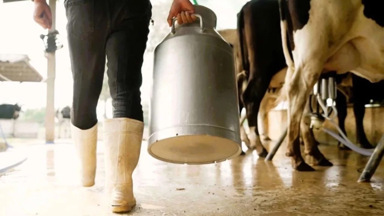 Foto - Türkiye'nin ünlü Süt ve Peynir markası: Konkordato ilan eden dev şirket ile ilgili yeni gelişme!