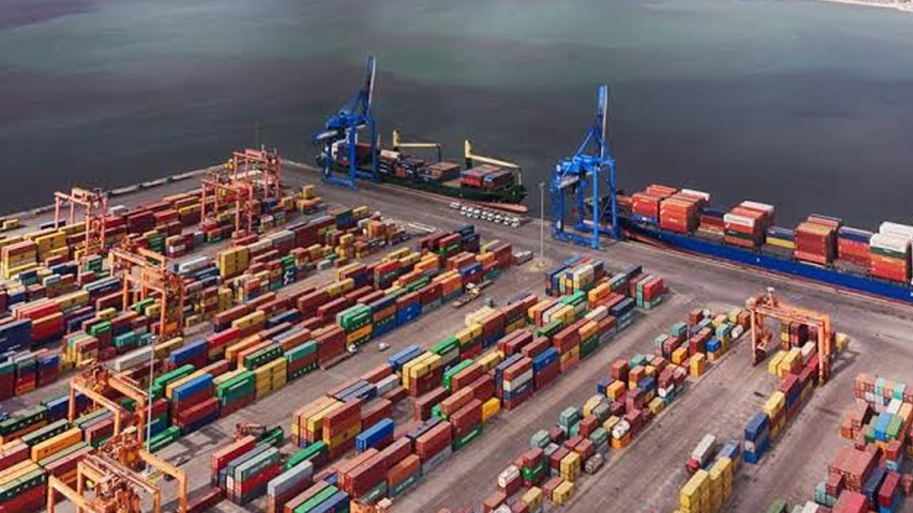 Foto - Türkiye’nin yaprak sarma ihracatı sürüyor: İşte küresel ticarette talebi olan ülkeler