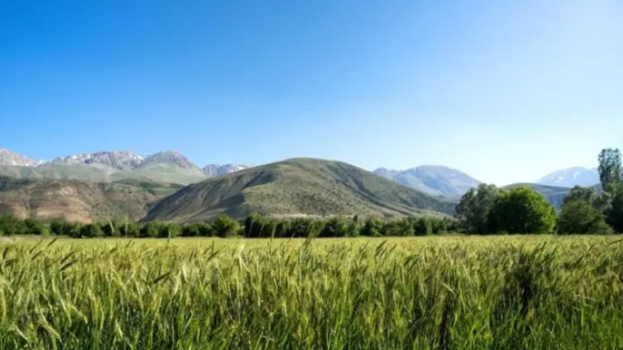 Foto - Türkiye'nin yaşam haritası belli oldu: En uzun yaşayanlar bu ilde!