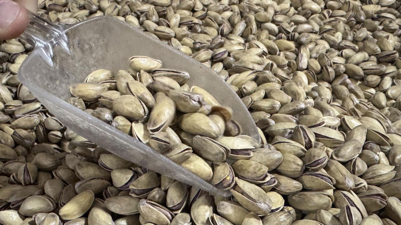 Türkiye’ye balya balya dolar getiriyor! Fıstık gibi haber