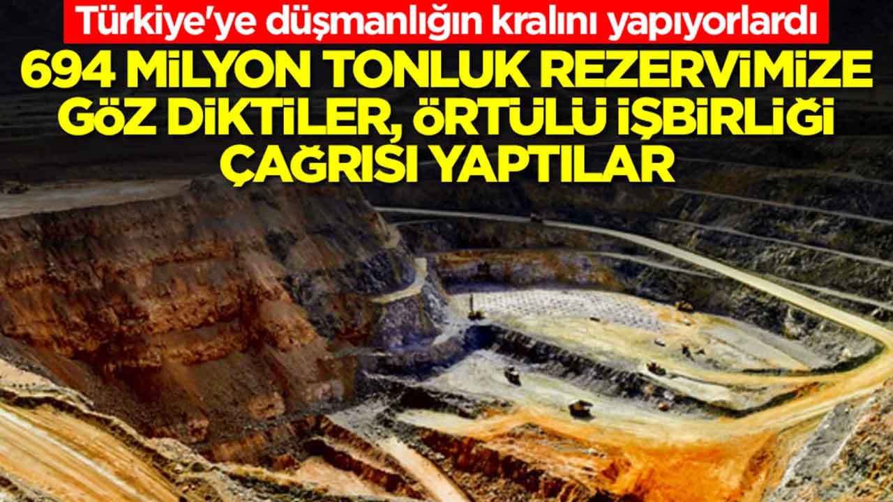 Türkiye'ye düşmanlığın kralını yapıyorlardı: 694 milyon tonluk rezervimize göz diktiler, örtülü iş birliği çağrısı yapıldı