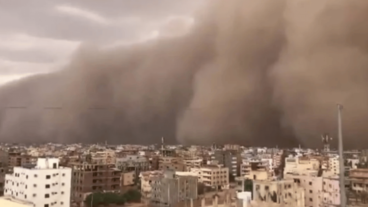 Foto - Astım sorunu olanlar dikkat: Türkiye'ye yayılmaya başladı!