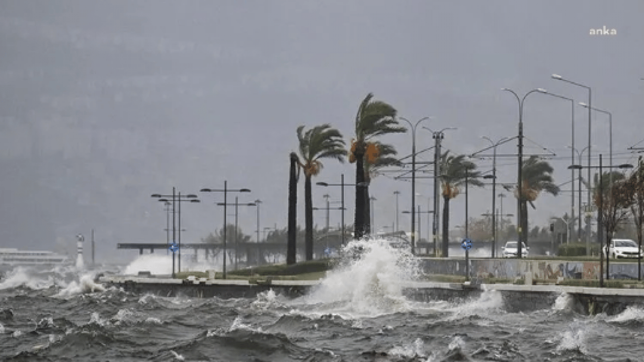 Foto - Astım sorunu olanlar dikkat: Türkiye'ye yayılmaya başladı!
