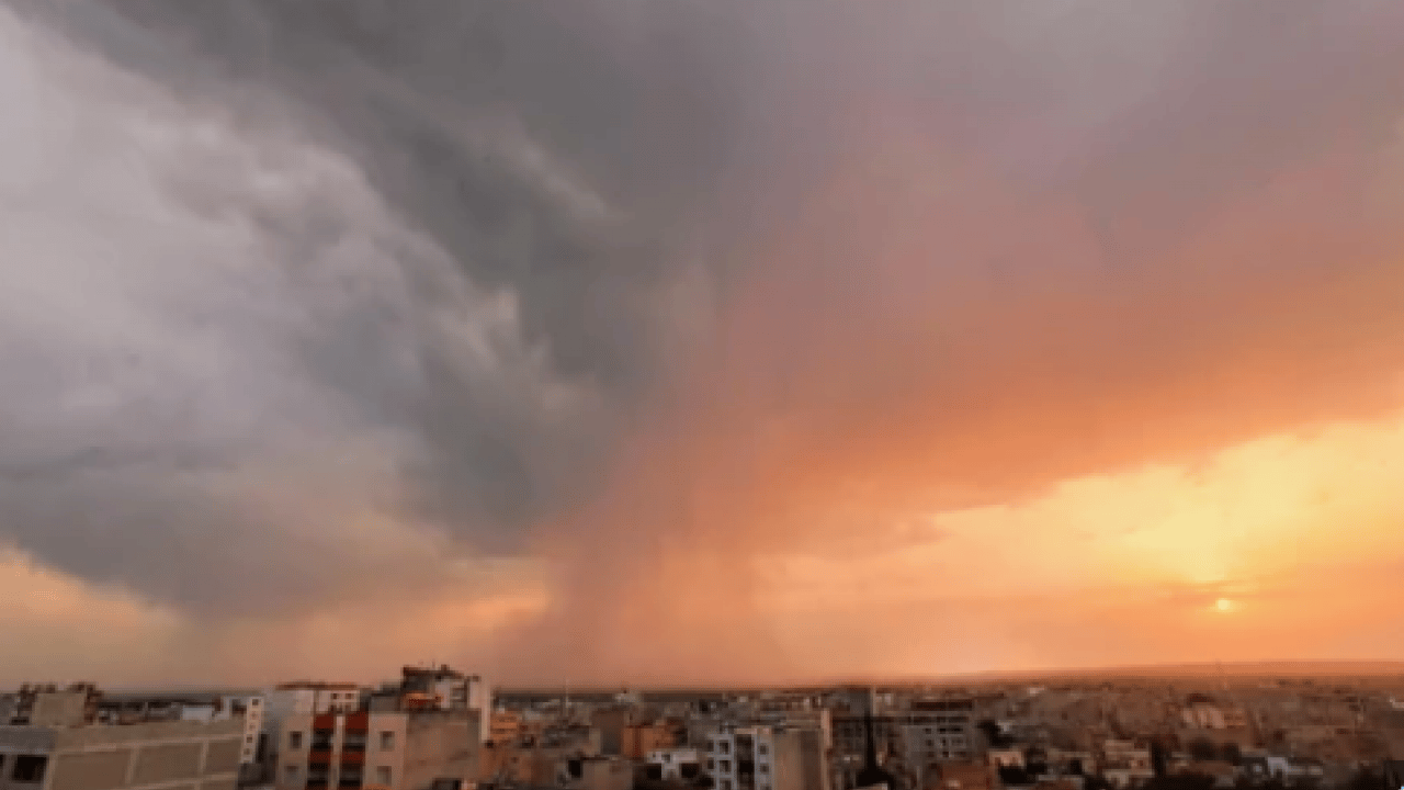 Foto - Astım sorunu olanlar dikkat: Türkiye'ye yayılmaya başladı!