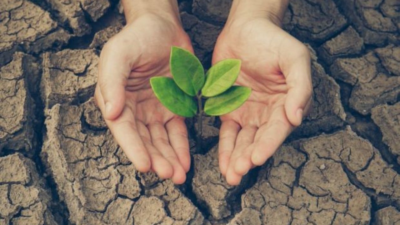 Foto - Türkiye'ye gündeme oturan teklif: 1 litre su verin, size 1 litre petrol verelim
