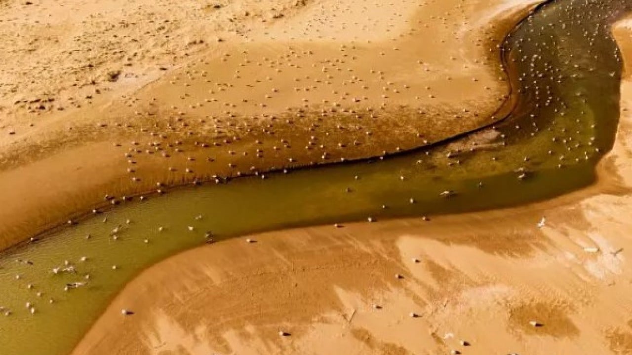Foto - Türkiye'ye müjdeli haberi verdiler: Kuraklık barajları kurutmuştu!