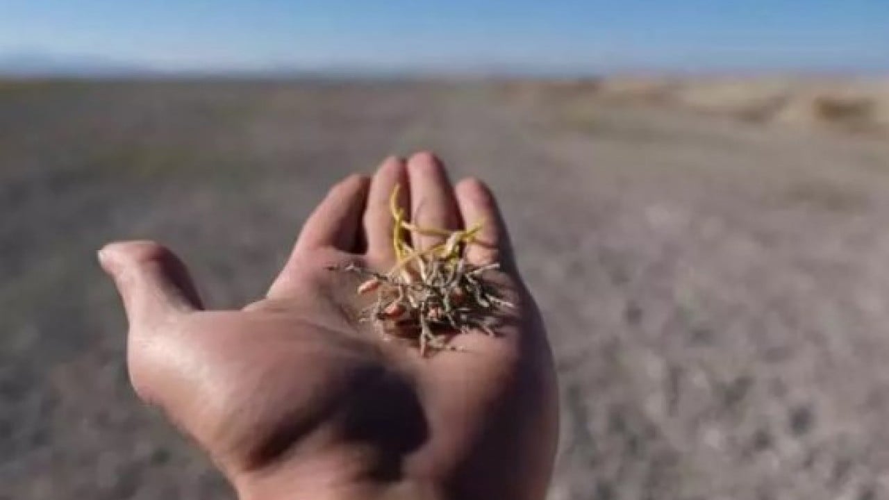 Foto - Türkiye'ye müjdeli haberi verdiler: Kuraklık barajları kurutmuştu!