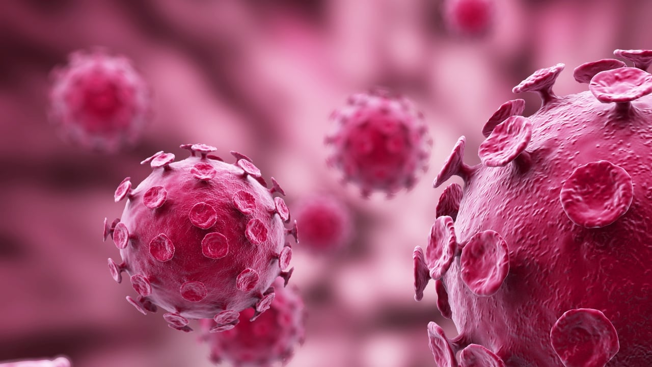 Foto - Türkiye'ye yaklaşan tehlike grip nasıl yayılıyor?