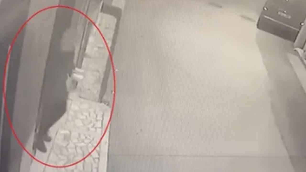 Türkiye'yi ayağa kaldıran dehşetin detayları ortaya çıktı: Daha önce kurban kesimi yaptığım için zorlanmadım