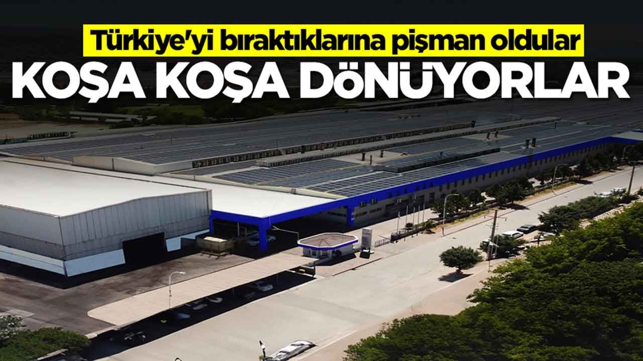 Türkiye'yi bıraktıklarına pişman oldular: Koşa koşa geri dönüyorlar
