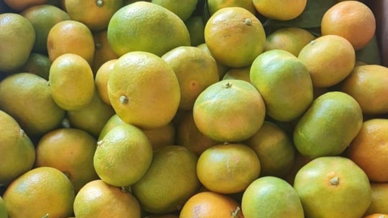 Foto - Türkiye'yi sarsan mandalina skandalı! Artık yemeye korkacaksınız, hepsi imha edildi