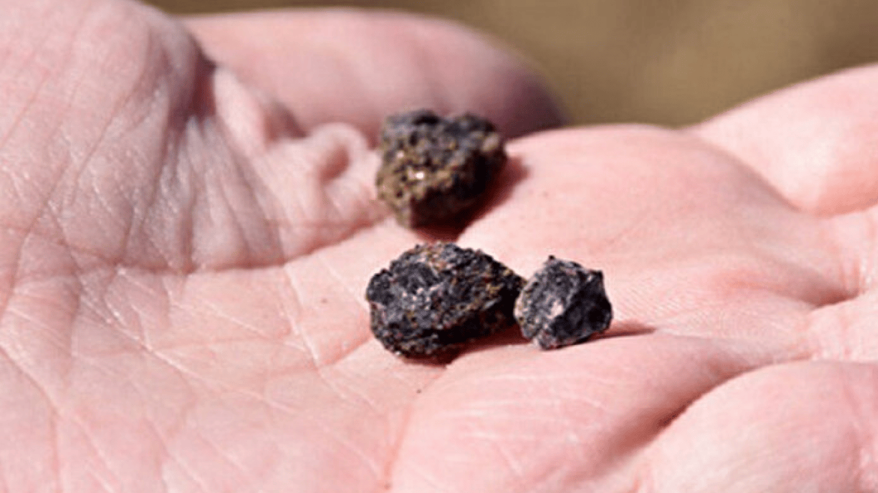 Foto - Türkiye'yi uçuracak rezerv! 'Hazine bulmuşuz' desek az kalır