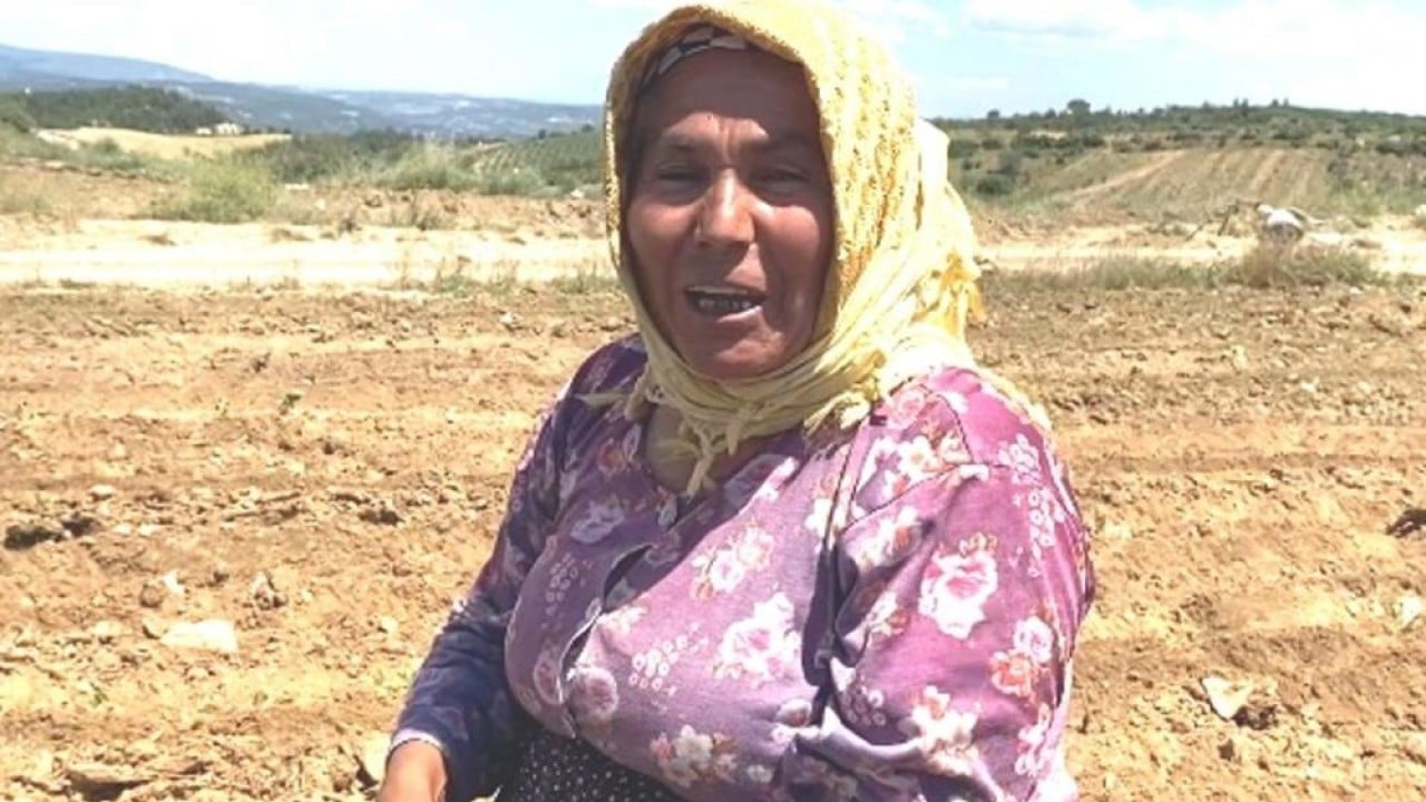 Foto - Tütün işçilerinin zorlu mesaisi Kavurucu sıcakta ekmek mücadelesi