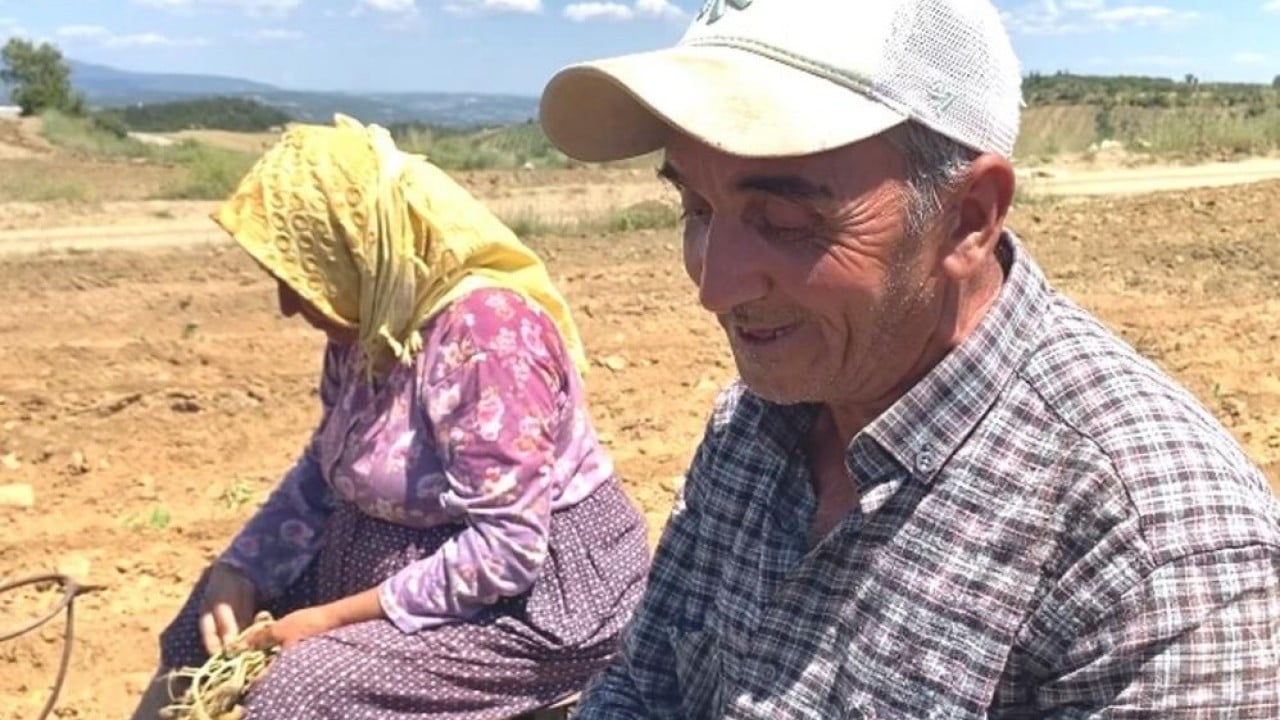 Foto - Tütün işçilerinin zorlu mesaisi Kavurucu sıcakta ekmek mücadelesi