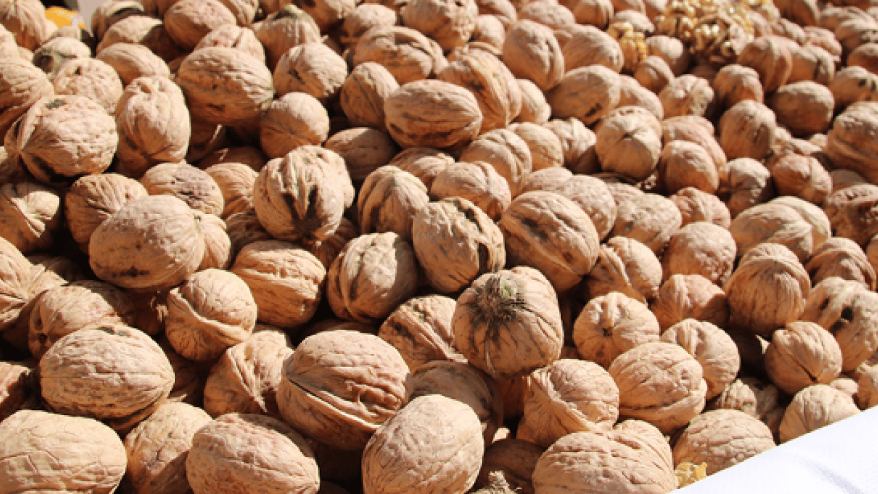 Foto - Tütünden vazgeçtiler hayatları değişti: Fiyatlar uçuşa geçti!