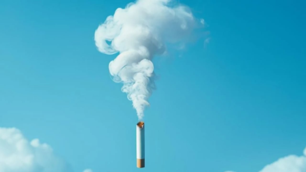 Foto - Tütünü bırakmada ilginç tablo! Kadınlar erkekleri fena solladı