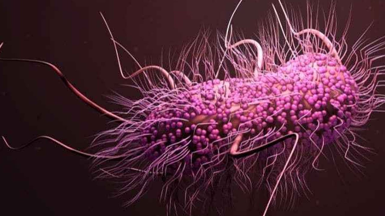 Foto - Tuvaletten bile daha kirli: Telefonu sürekli elinde olanlar dikkat! Şaşırtan paylaşım, en büyük sorun 