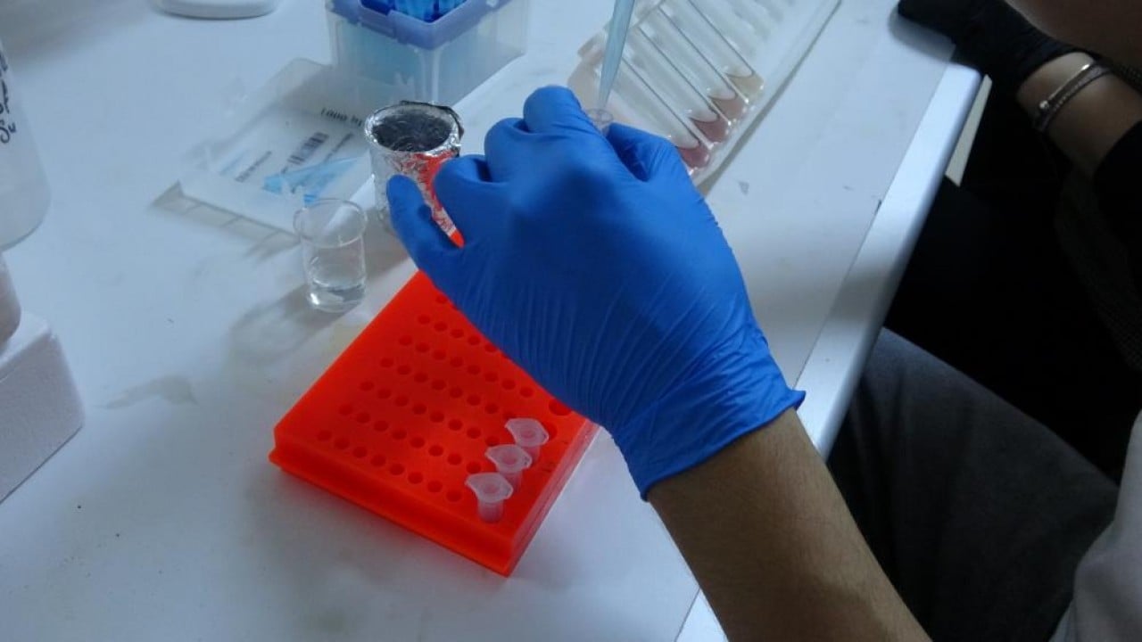 Foto - Tuzla savaşan bitkiler kansere çare olacak