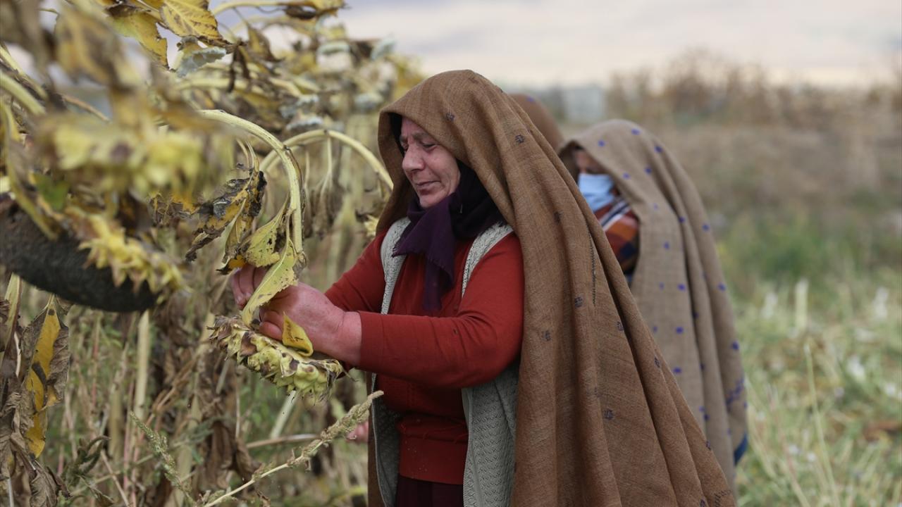 Foto - TZOB çiftçiler için talep etti: 1 yıl faizsiz olarak ertelenmeli