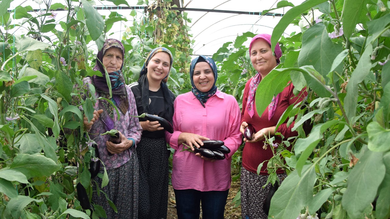 Foto - Üç kuşağın hayat mücadelesi! Anneanne, anne ve torun aynı serada