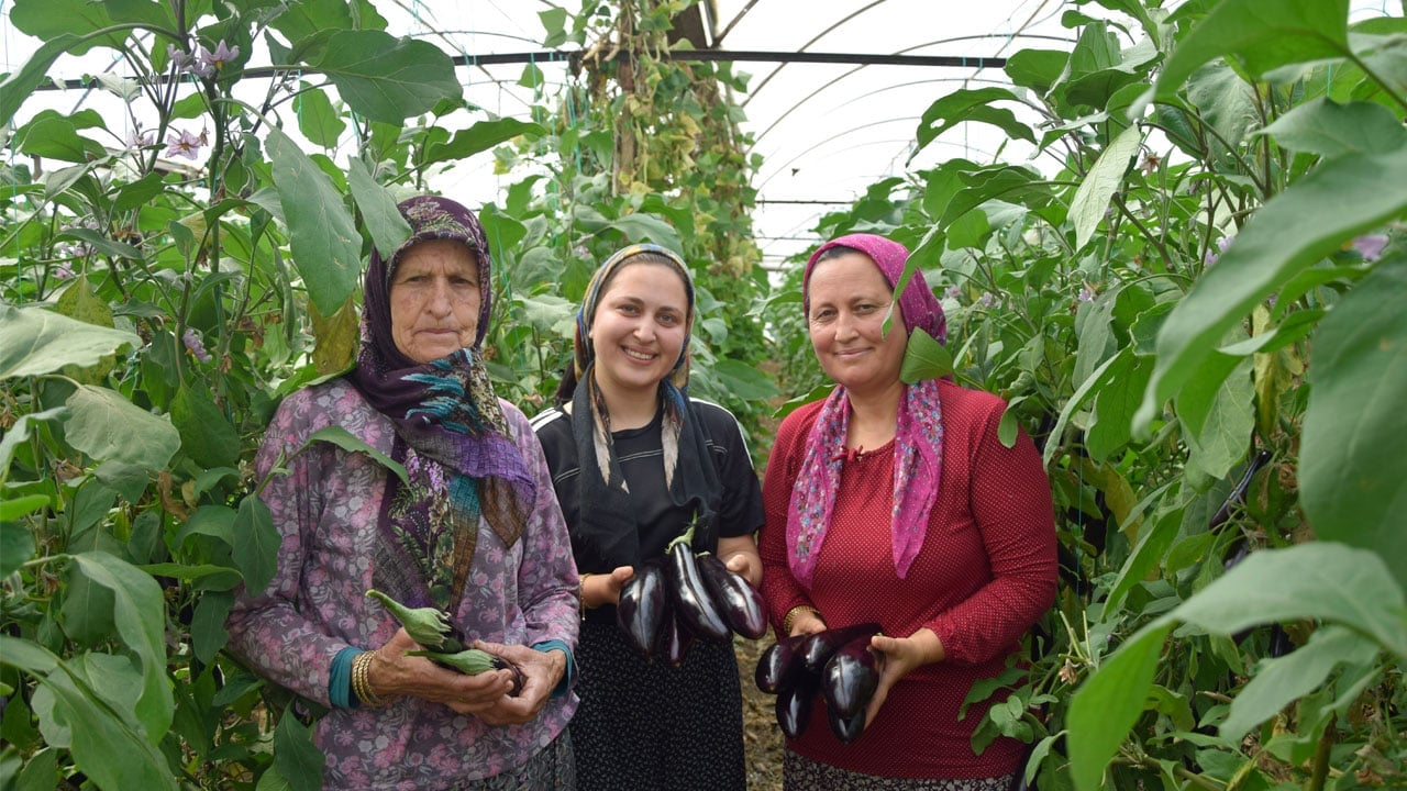 Üç kuşağın hayat mücadelesi! Anneanne, anne ve torun aynı serada