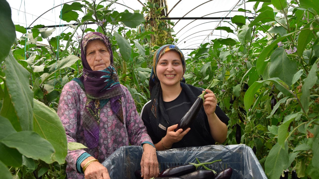 Foto - Üç kuşağın hayat mücadelesi! Anneanne, anne ve torun aynı serada