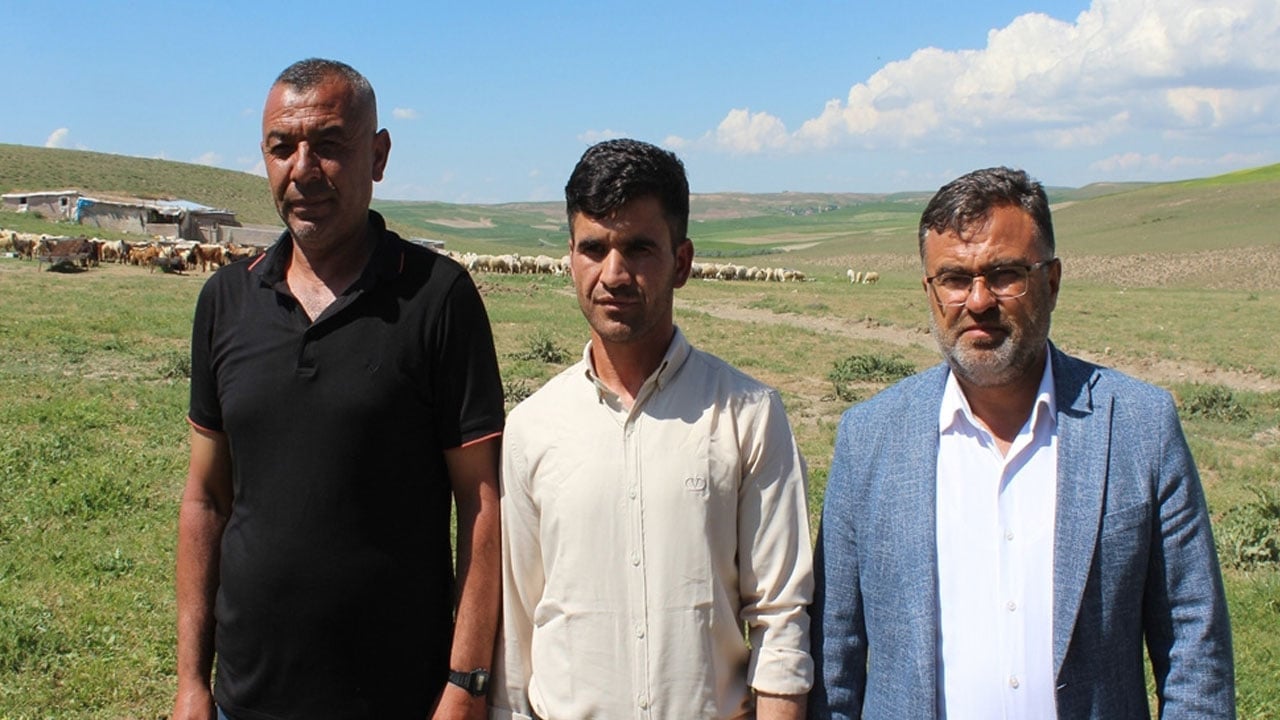 Foto - Ücretler 100 bin liraya dayandı! Çalışacak kimse bulunmayınca ithal çoban dönemi başladı