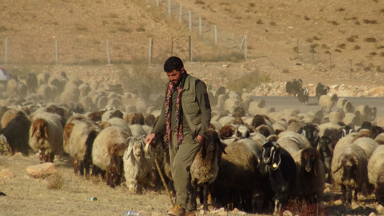 Uçurumlar, tarlalar, kara yolu! Yüzlerce kilometrelik zorlu rota