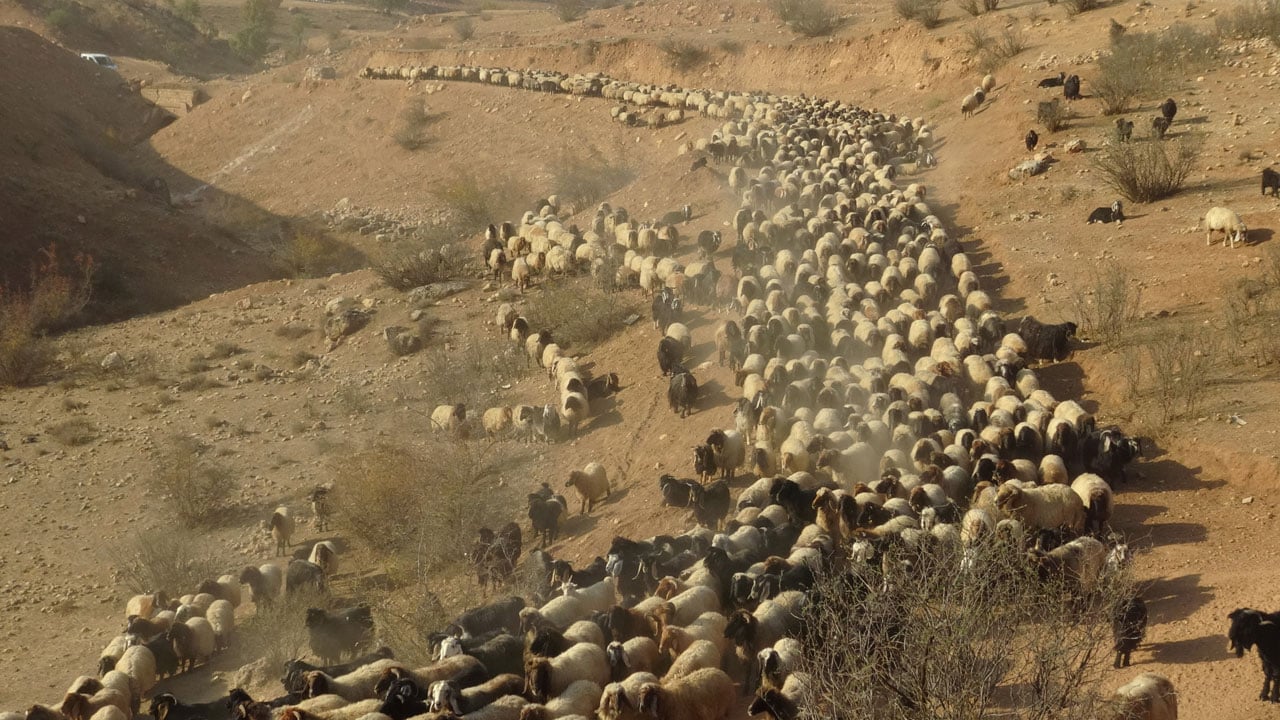 Foto - Uçurumlar, tarlalar, kara yolu! Yüzlerce kilometrelik zorlu rota