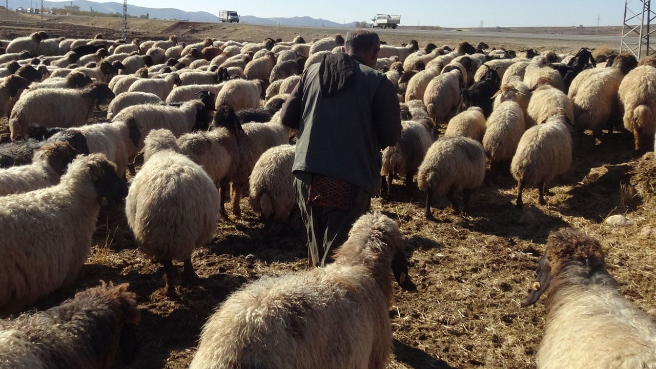 Foto - Uçurumlar, tarlalar, kara yolu! Yüzlerce kilometrelik zorlu rota