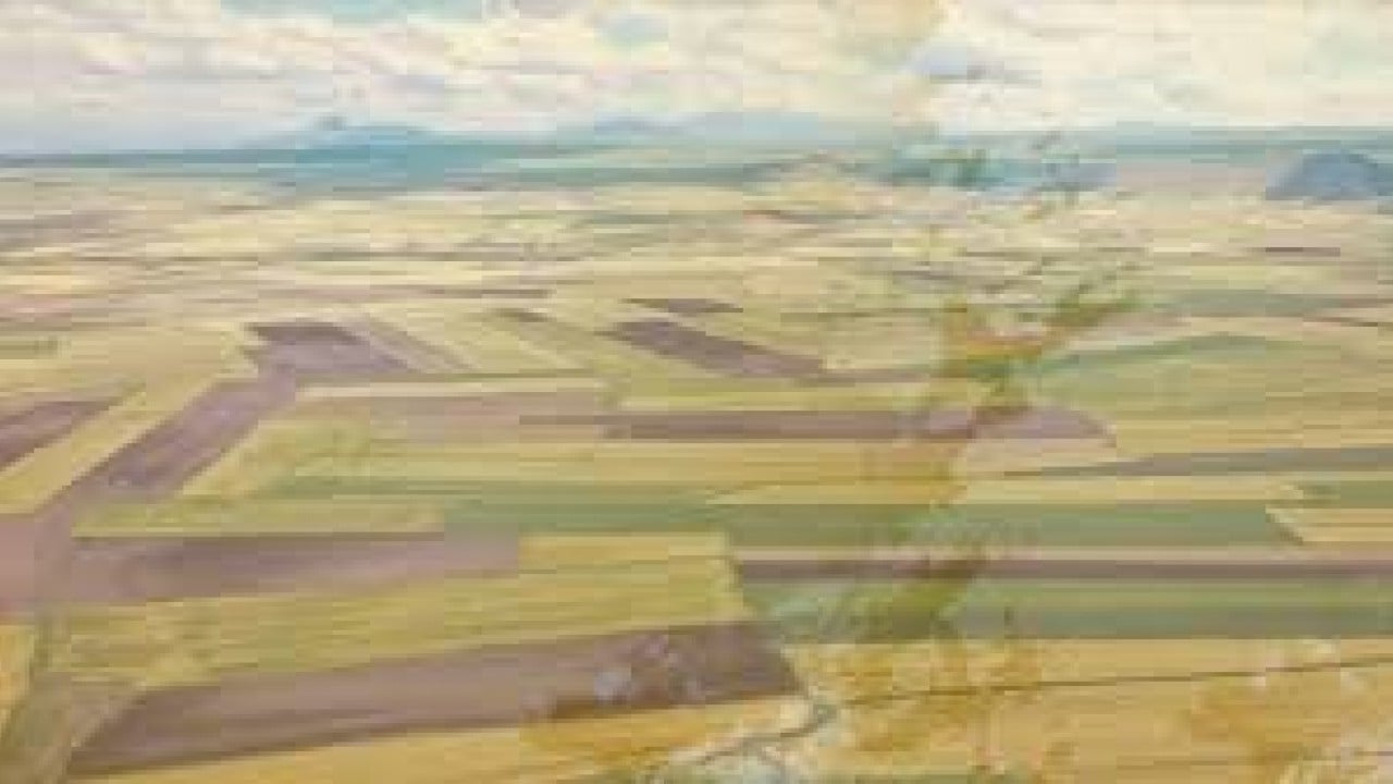 Foto - Ucuza arsa fırsatı! 37 ilde satışa çıkıyor, 4 yıl vadeyle taksit yapılacak