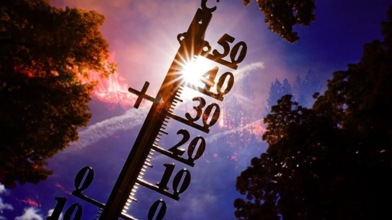 Foto - UKHSA verileri paylaştı: Sıcak hava dalgaları 1504 can aldı