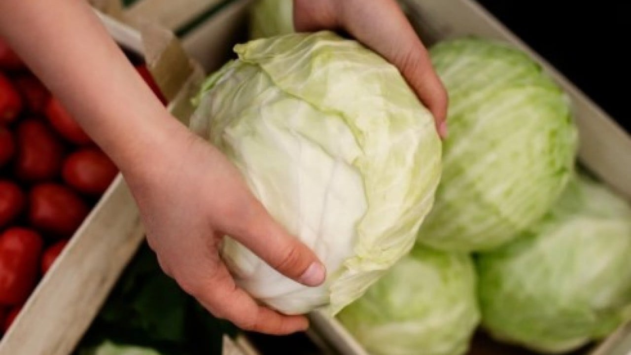 Foto - İbrahim Saraçoğlu'ndan şeker hastalarına öneri: 'Suyunu için yaprağını ayağınıza koyun'