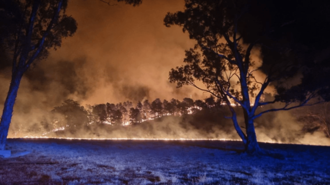 Ülkede orman yangınları büyüyor! Binlerce kişi tahliye edildi