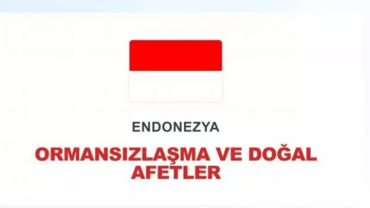 Foto - Ülkelerin kronik sorunları açıklandı: Meğer Türkiye denince akla bu geliyormuş!