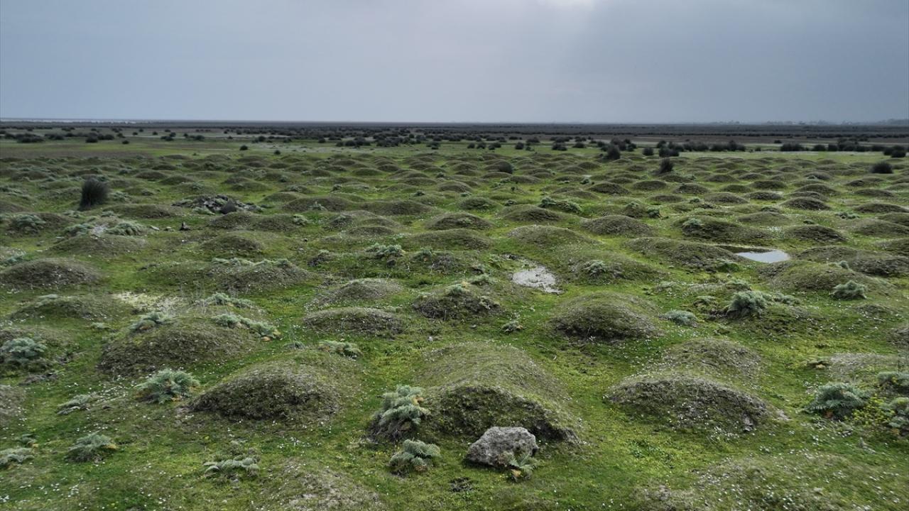 Foto - UNESCO Dünya Mirası Geçici Listesi'nde! Kızılırmak Deltası’nda şimdi bahar zamanı