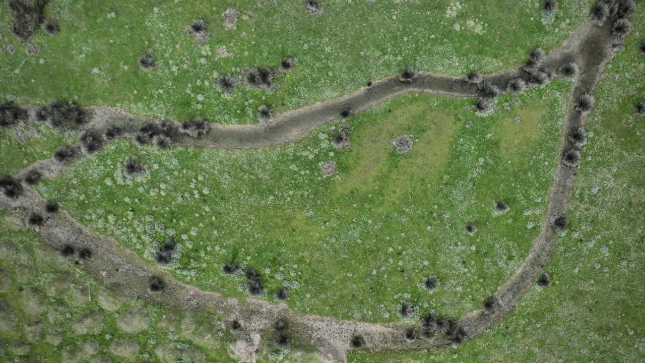 Foto - UNESCO Dünya Mirası Geçici Listesi'nde! Kızılırmak Deltası’nda şimdi bahar zamanı