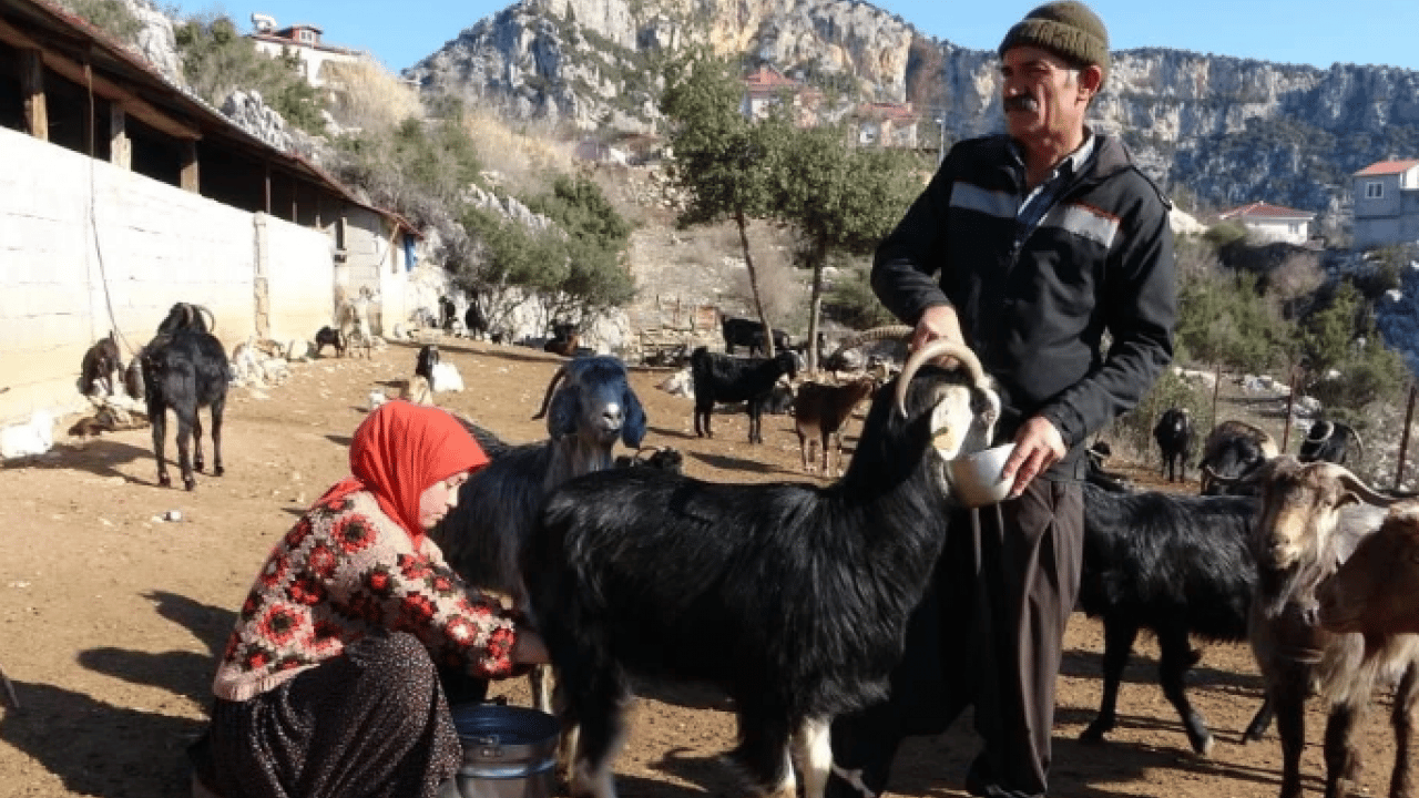 Foto - Üniversite mezunu oldu, köyüne döndü! Baba mesleğiyle sosyal medyada fenomen oldu