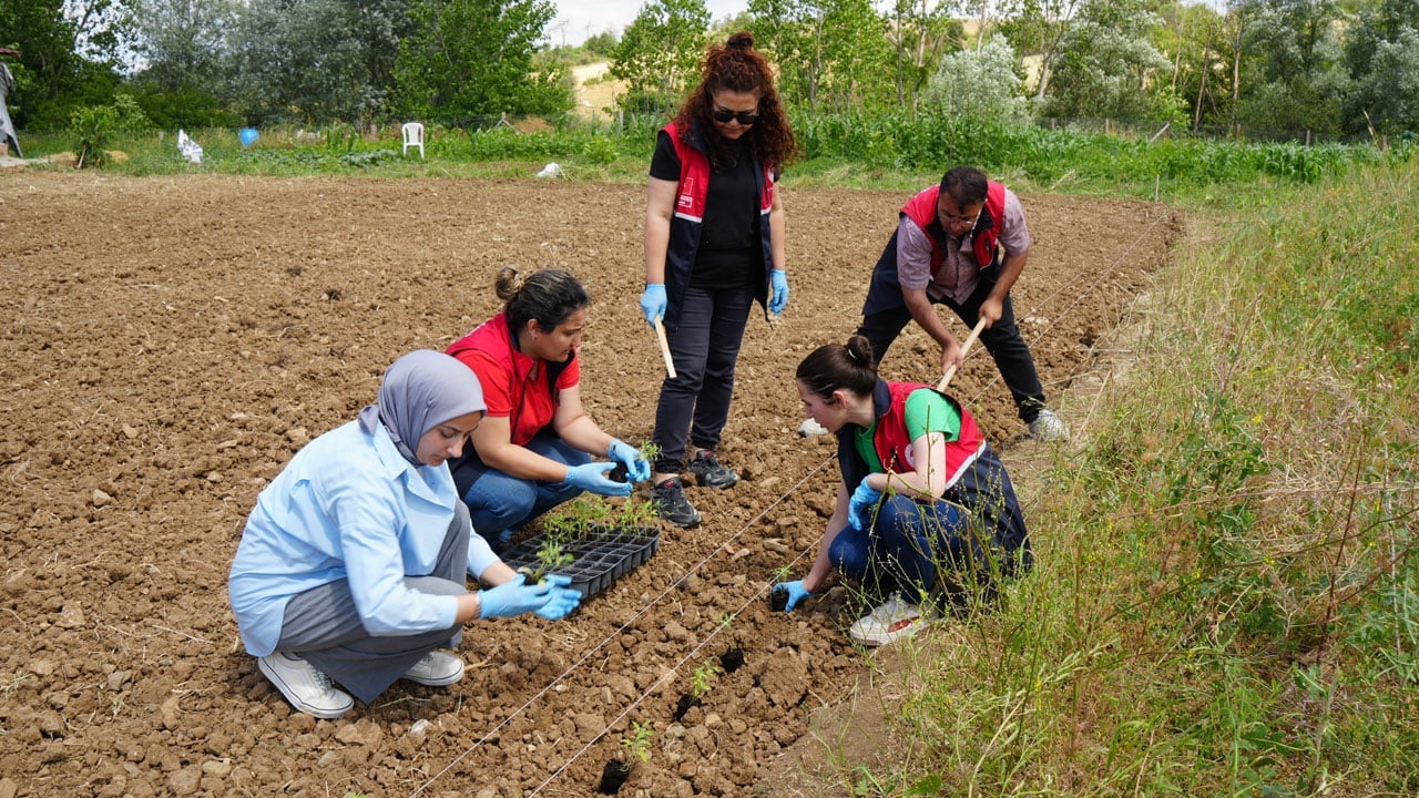 Foto - Üniversite üretip fideyi ücretsiz dağıtıyor! Çiftçiye aromatik ürün desteği