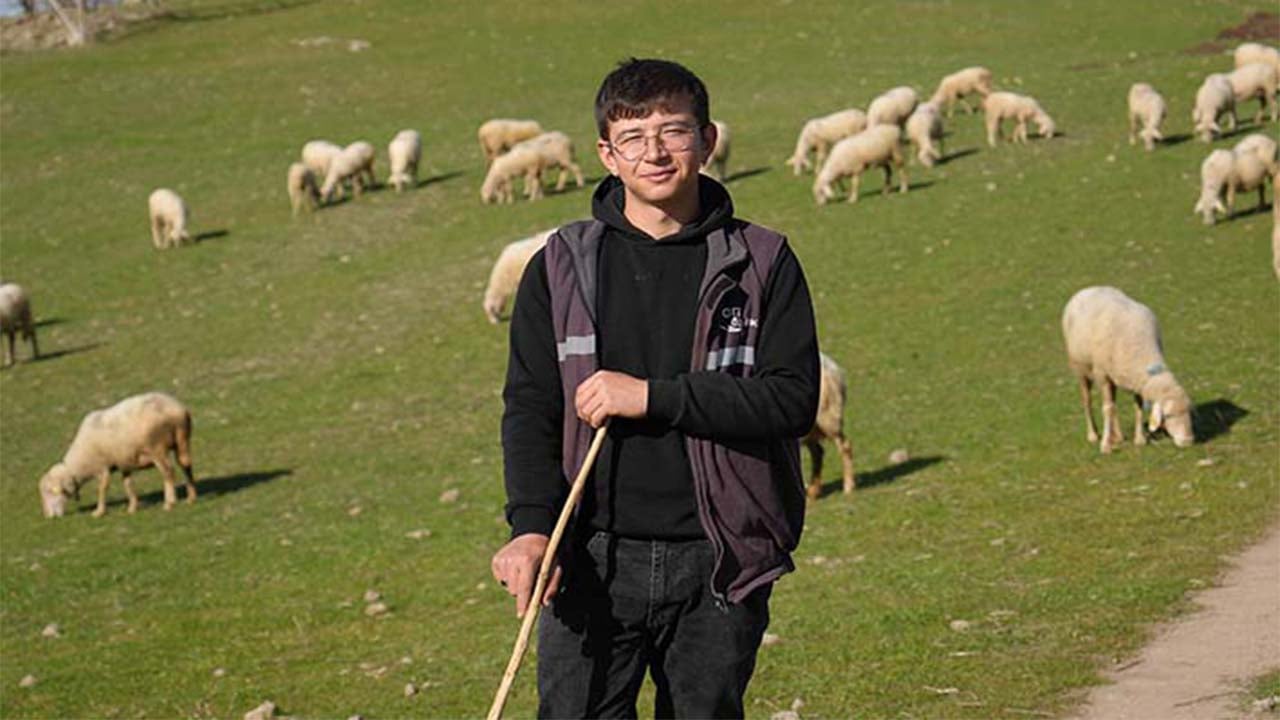 Üniversiteli küpeli çoban